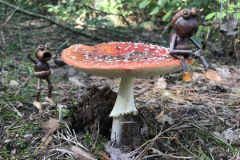 Eichelmaennchen