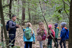 Kinder-im-Wald